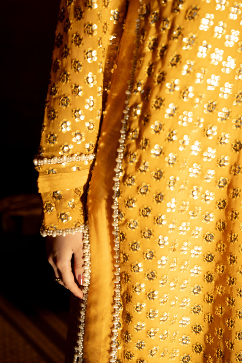 Daisy 3 Piece Stitched Suit