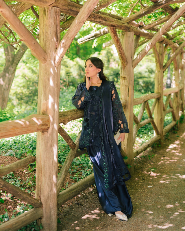 Ayla Noor New York: Pakistani Dresses Online USA For Eid Wedding Party Ayla Noor New York: Pakistani Dresses Online USA For Eid Wedding Party