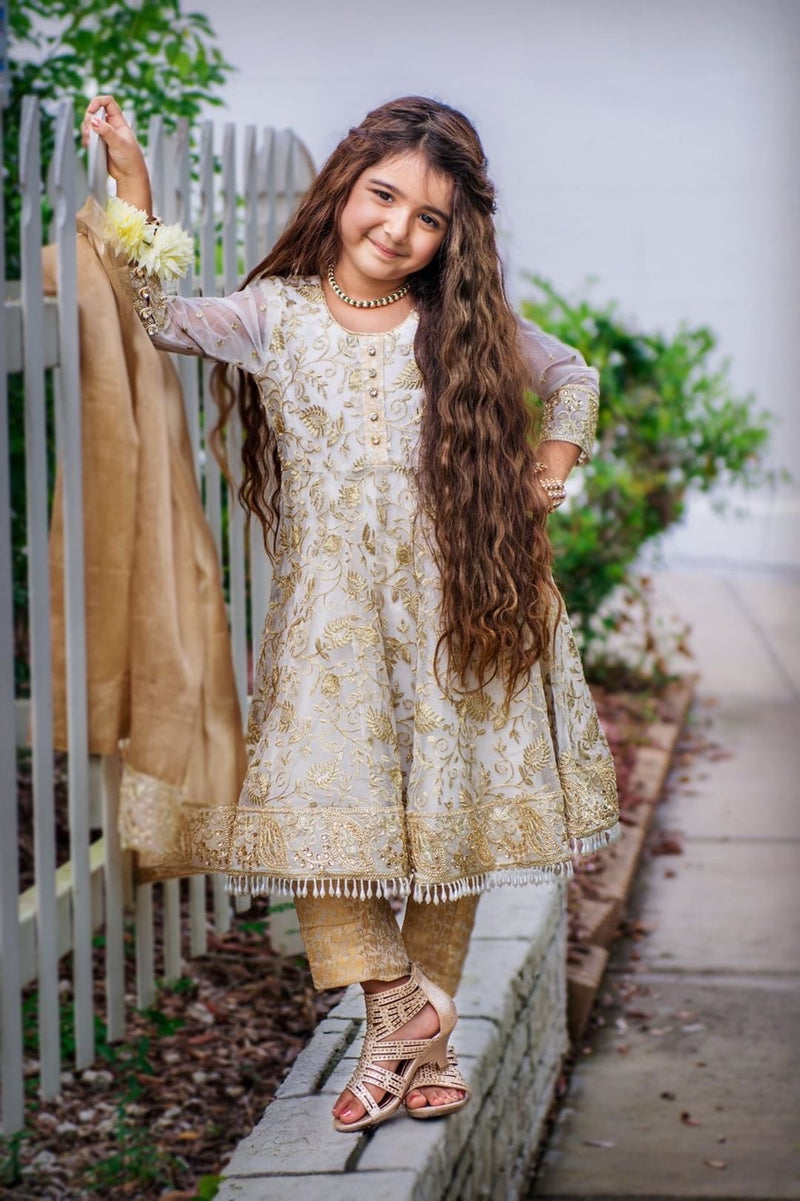 Pakistani Dress Online: Buy Pakistani Dresses in Mumbai Online