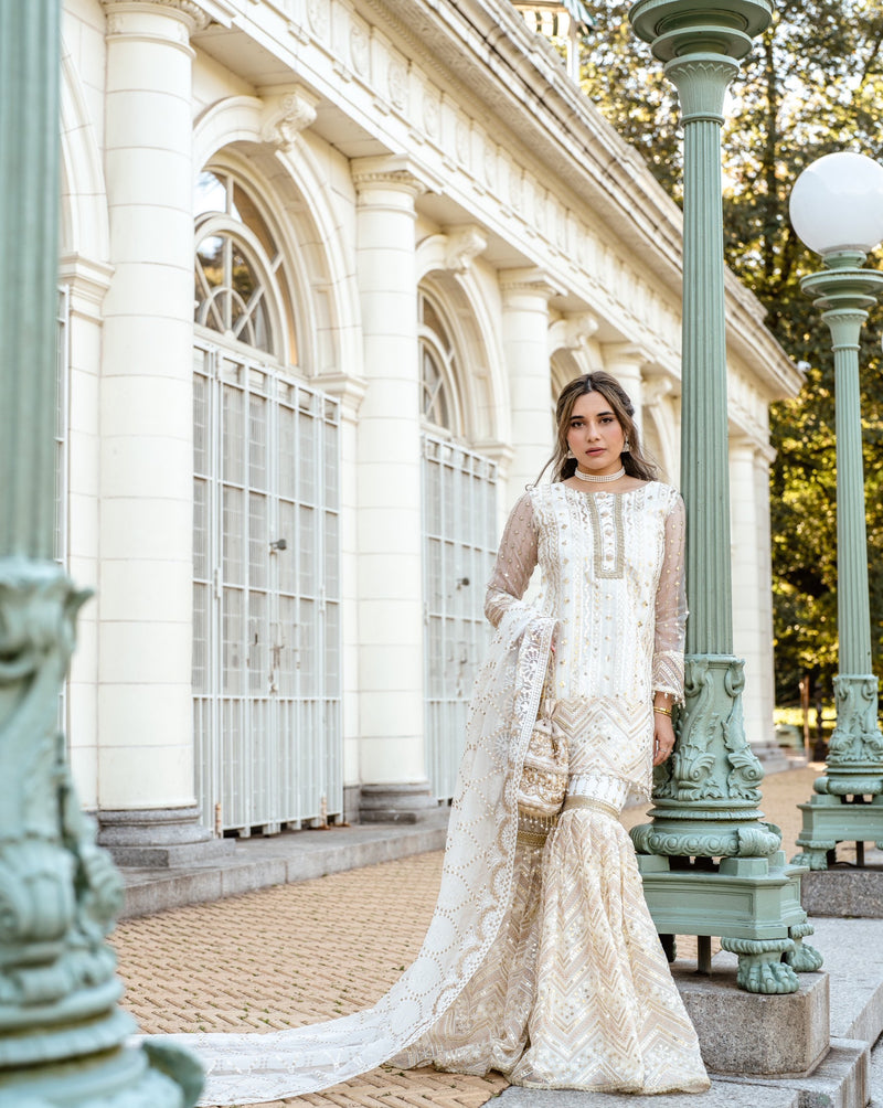 Serena Outfit | Ayla Noor NY Serena Outfit | Ayla Noor NY